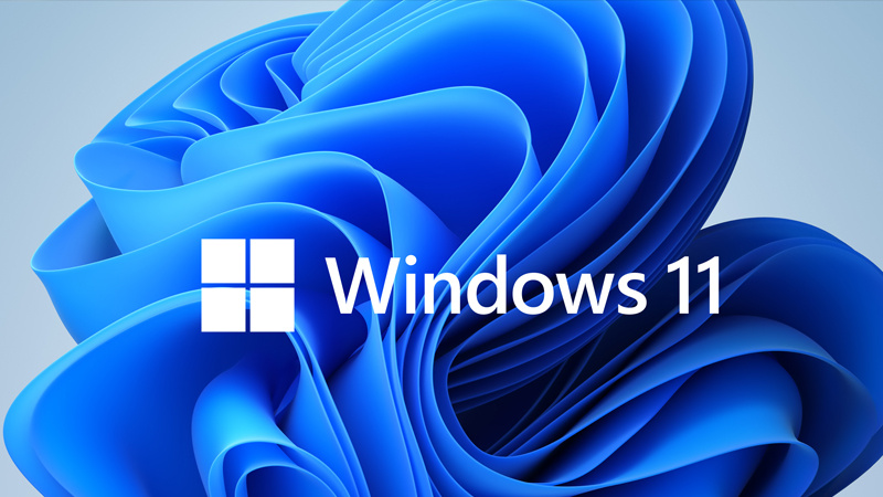 Windows 11 64位 专业版