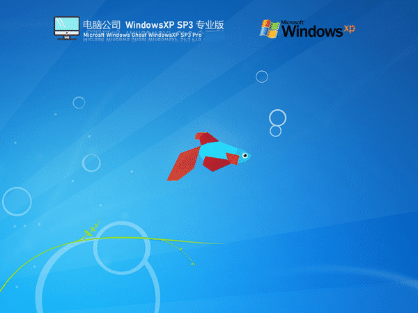 电脑公司Windows XP SP3 装机版